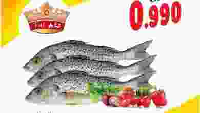 el3rod.com00001-570