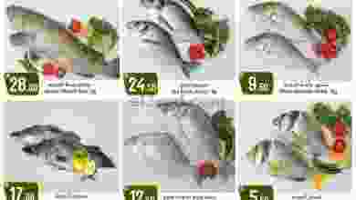 el3rod.com00001-716