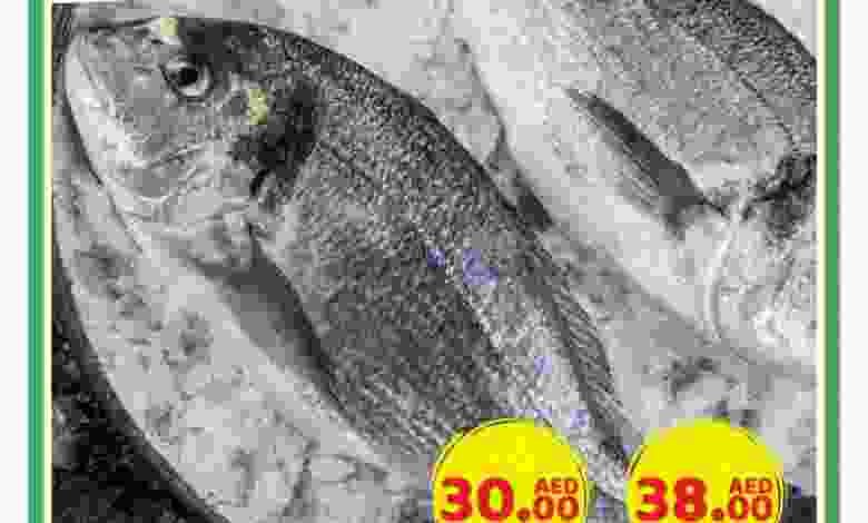 el3rod.com00001-720