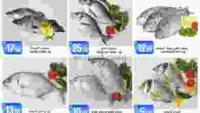 el3rod.com00001-784