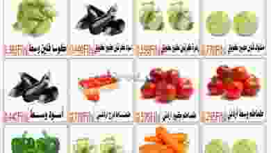 el3rod.com00001-798