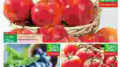el3rod.com00001-813