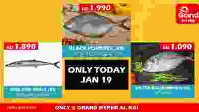 el3rod.com00001-832