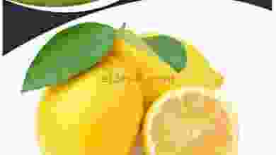el3rod.com00001-859