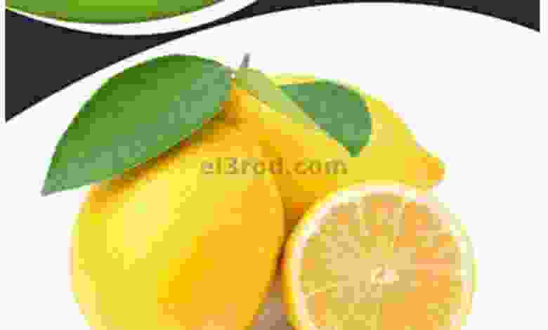 el3rod.com00001-859