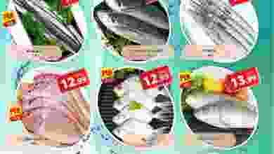 el3rod.com00001-88