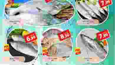 el3rod.com00001-91