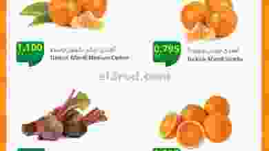 el3rod.com00001-935