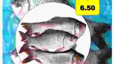 el3rod.com00001-99