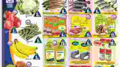 el3rod.com00002-242