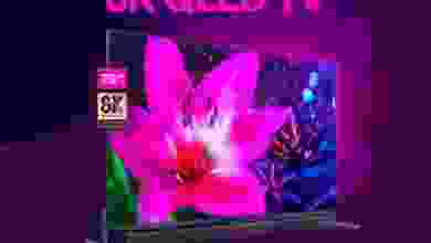 el3rod.com00002-3
