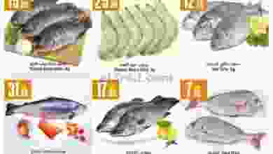 el3rod.com00002-328