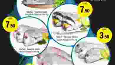 el3rod.com00003-273
