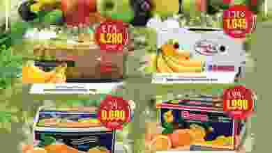 el3rod.com00004-542
