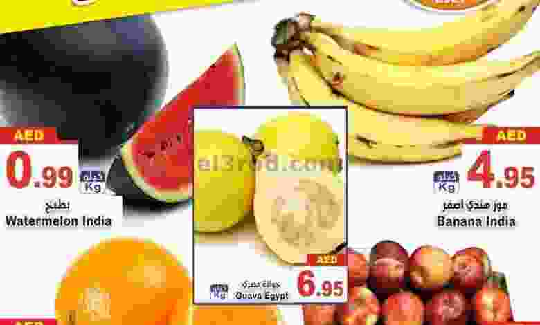 el3rod.com00005-586