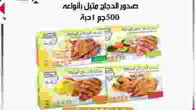 el3rod.com00001-1002