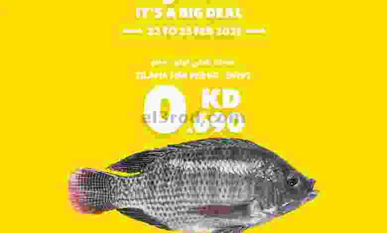 el3rod.com00001-1046