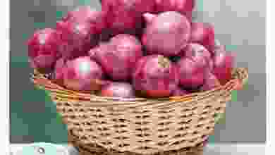 عروض سفاري الامارات الاثنين 22-2-2021 el3rod.com00001-1053
