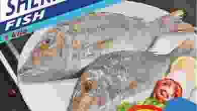 el3rod.com00001-1194