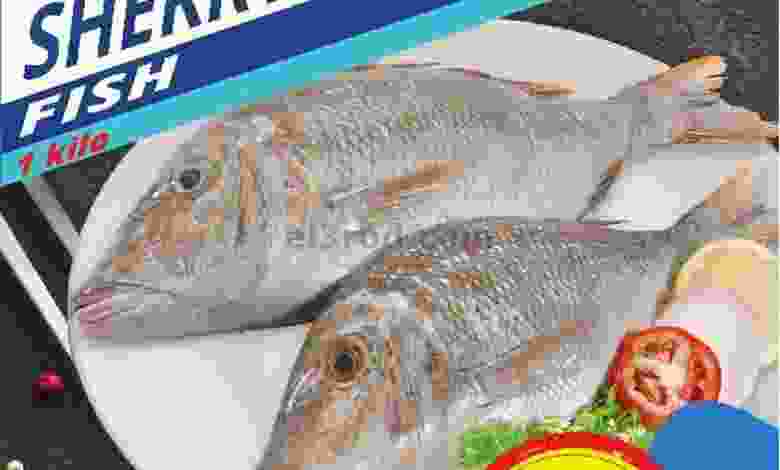 el3rod.com00001-1194