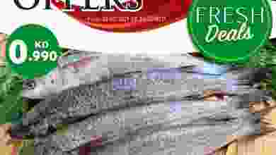 el3rod.com00001-1241