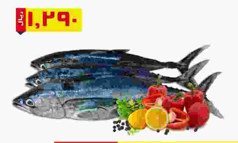 el3rod.com00001-1306