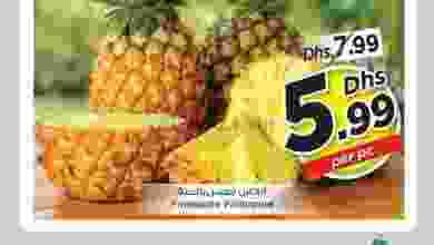 el3rod.com00001-1326