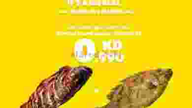 el3rod.com00001-1348