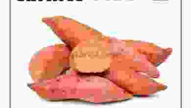 el3rod.com00001-1360