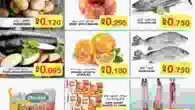 el3rod.com00001-1366
