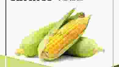 el3rod.com00001-149