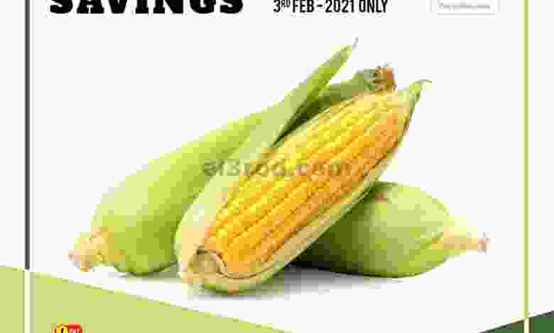 el3rod.com00001-149