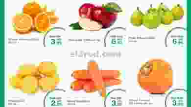 el3rod.com00001-230