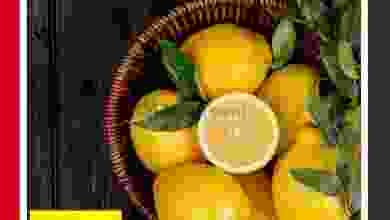 el3rod.com00001-272