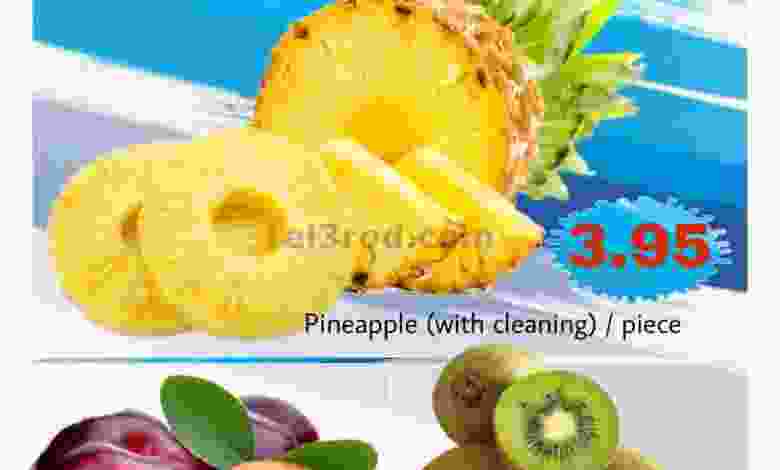 el3rod.com00001-299