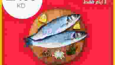 el3rod.com00001-351