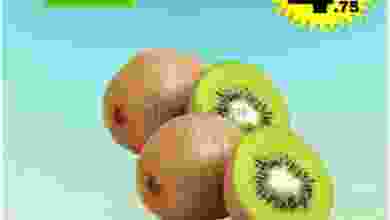 el3rod.com00001-377