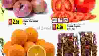 el3rod.com00001-499