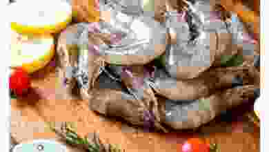 el3rod.com00001-501
