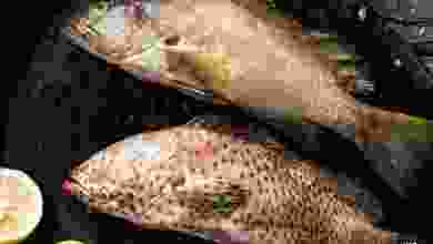 el3rod.com00001-680