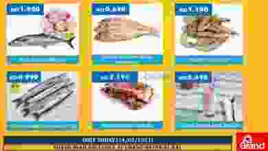 el3rod.com00001-695