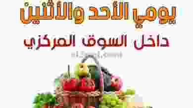 el3rod.com00001-738