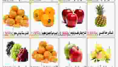 el3rod.com00001-769
