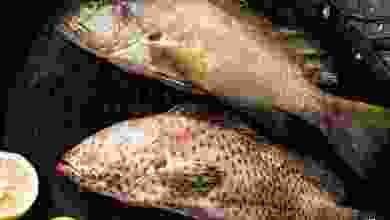 el3rod.com00001-813