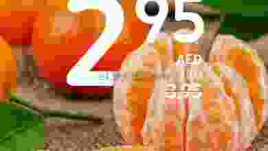 el3rod.com00001-820