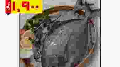 el3rod.com00001-888