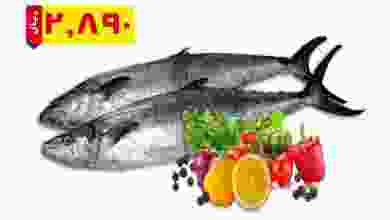 el3rod.com00001-910