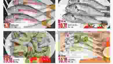 el3rod.com00001-95