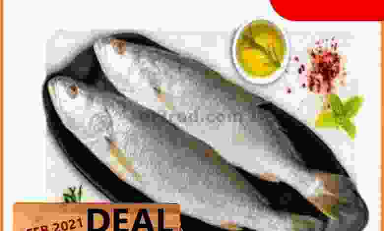 el3rod.com00002-244