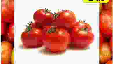 el3rod.com00002-569